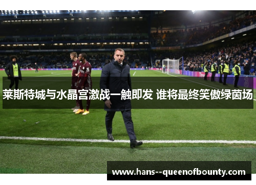 莱斯特城与水晶宫激战一触即发 谁将最终笑傲绿茵场